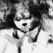 Product of the Environment